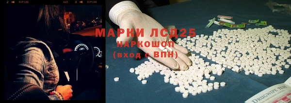 индика Арсеньев