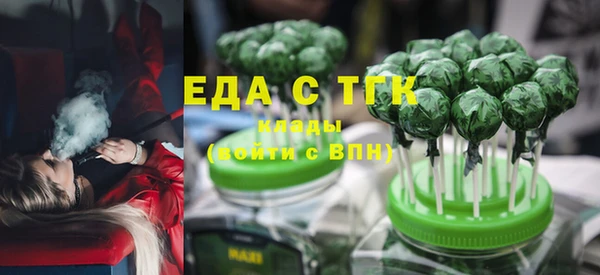 хмурый Аркадак