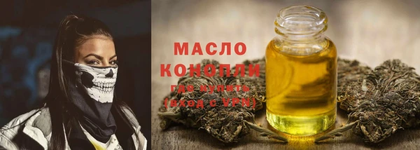 индика Арсеньев