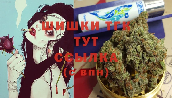хмурый Аркадак