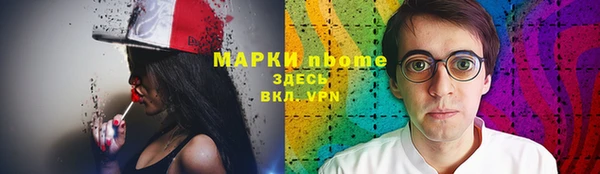 индика Арсеньев