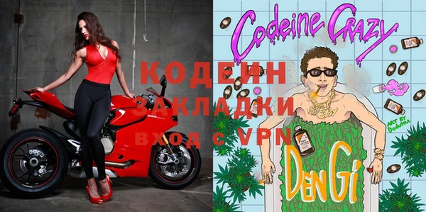 хмурый Аркадак