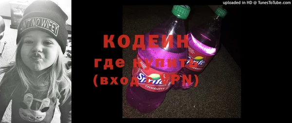 индика Арсеньев