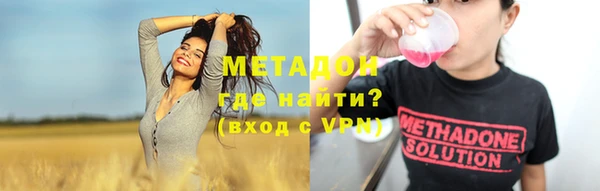 хмурый Аркадак