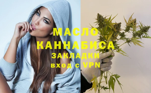 хмурый Аркадак