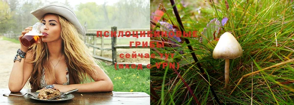 а пвп мука Покров