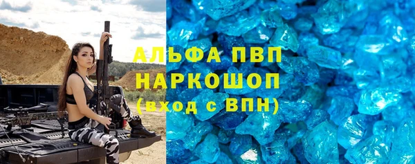 индика Арсеньев
