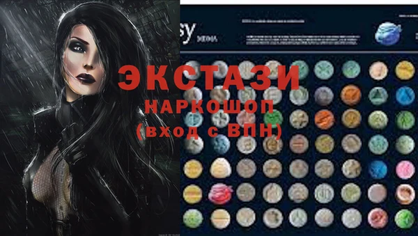 хмурый Аркадак