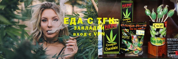 хмурый Аркадак