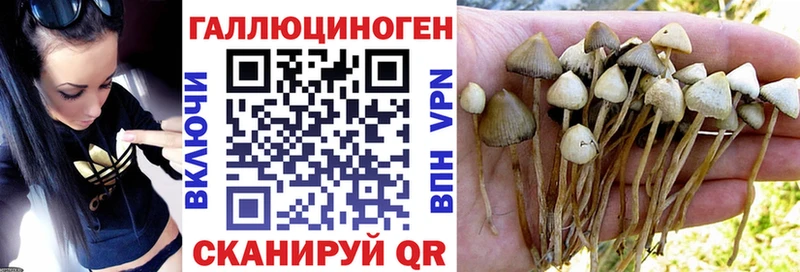 Псилоцибиновые грибы мухоморы  OMG зеркало  Коряжма 